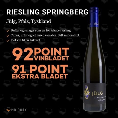 2018 Riesling Springberg, Weingut Jülg, Pfalz, Tyskland